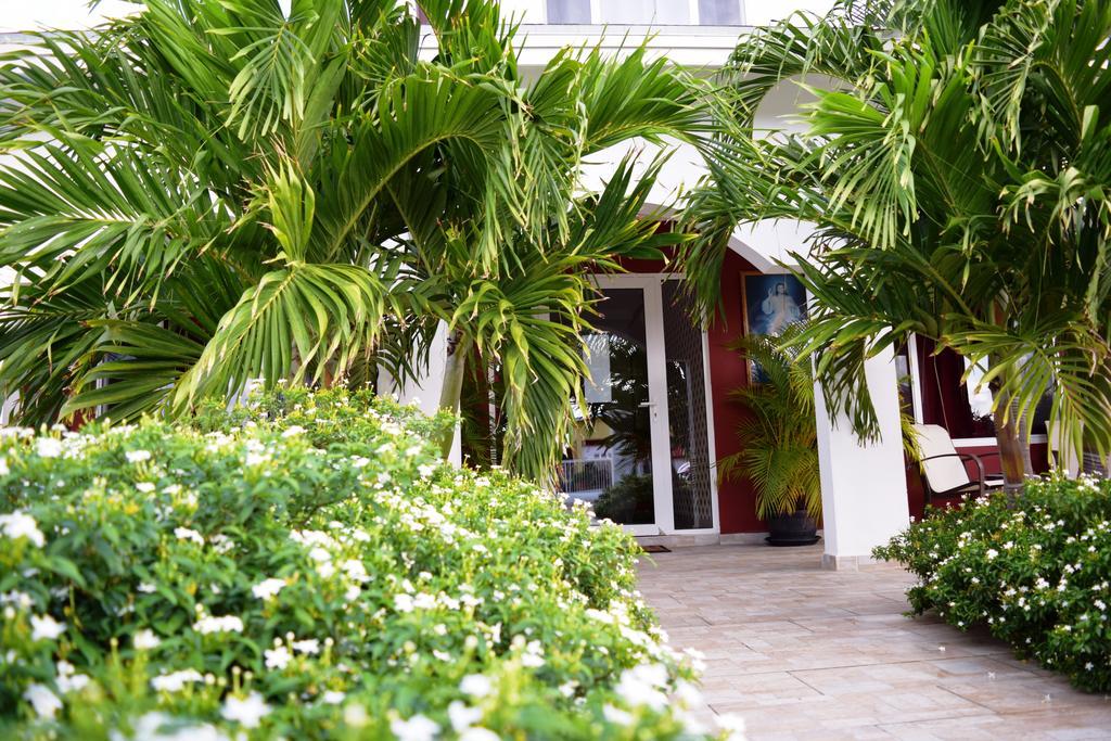 Ladybugs Apartments Palm Beach Exteriör bild